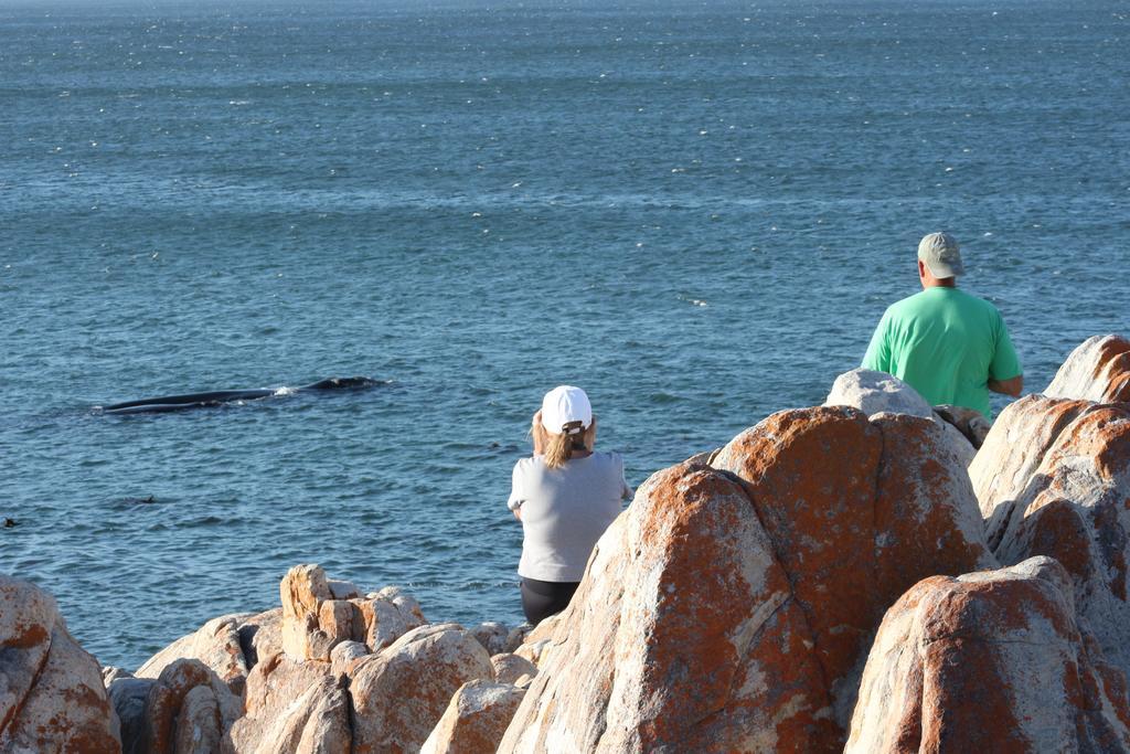 Whaletale Apartment De Kelders Bagian luar foto