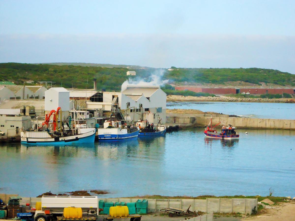 Whaletale Apartment De Kelders Bagian luar foto