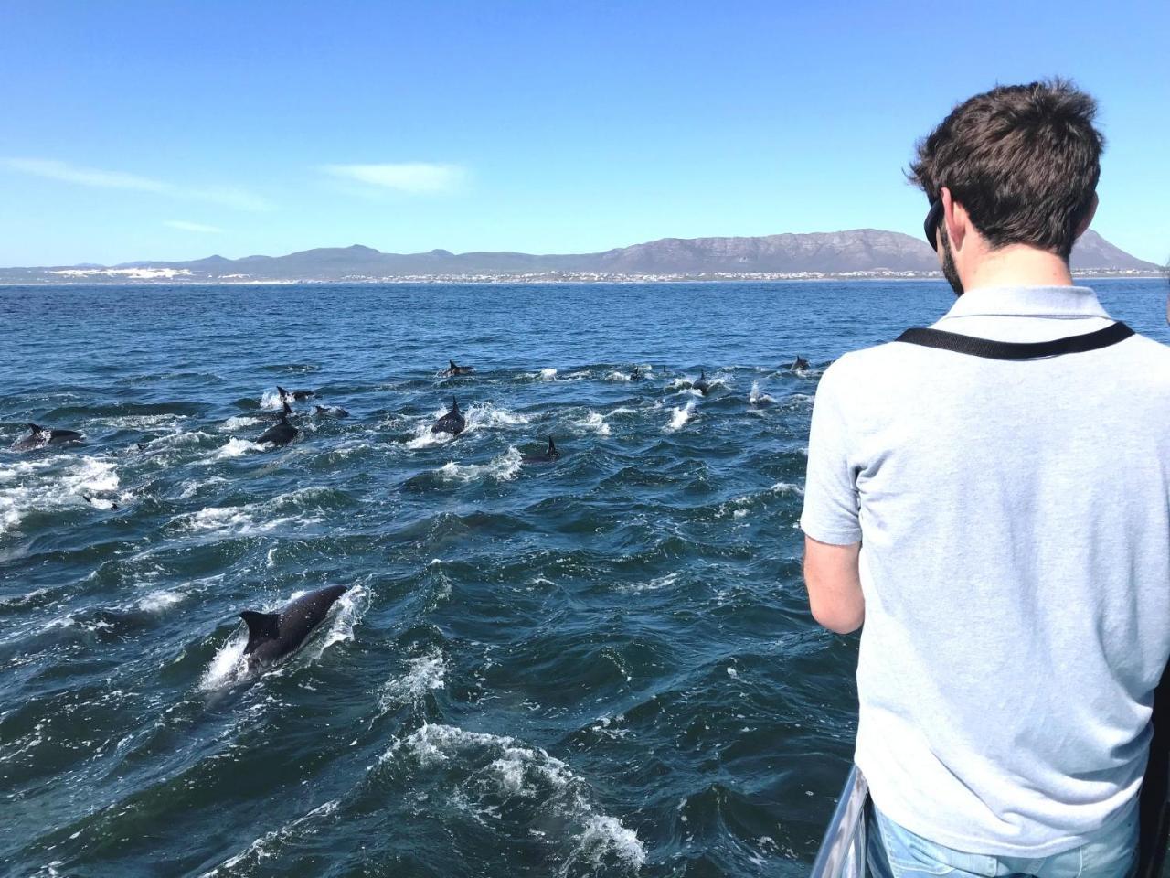 Whaletale Apartment De Kelders Bagian luar foto